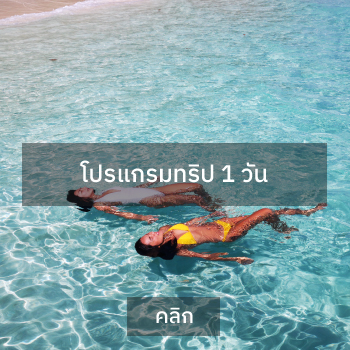 ทริปดำน้ำที่เกาะ Nyaung Oo Phee Island