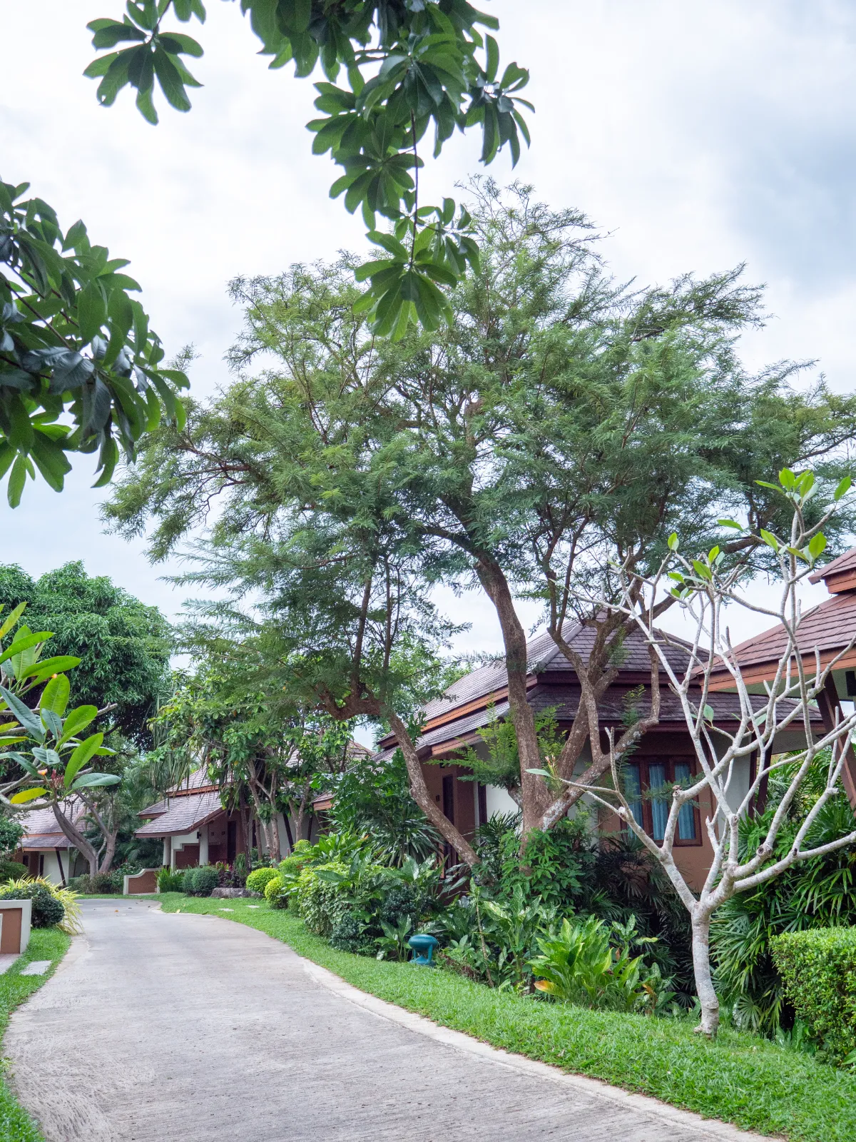 Victoria Cliff Resort Kawthaung - 4-Star Luxury Seaside Resort in Myanmar