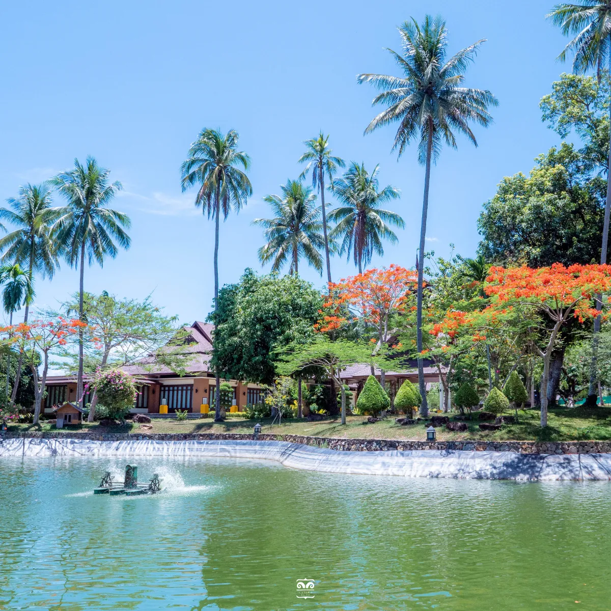 Victoria Cliff Resort Kawthaung - 4-Star Luxury Seaside Resort in Myanmar